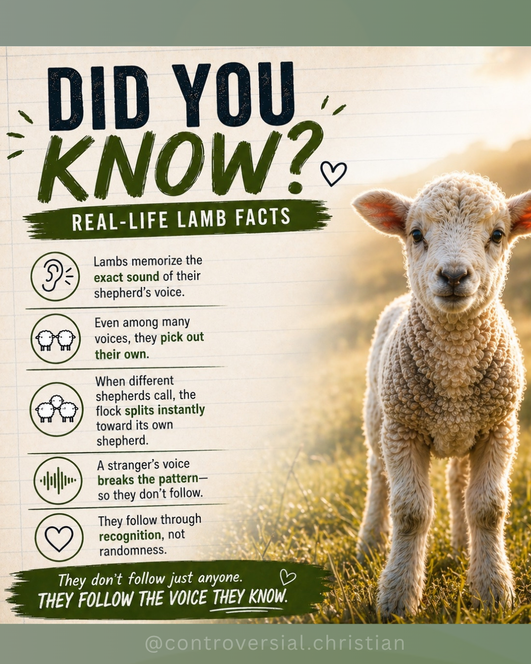 POSTS | Did You Know? (Facts)