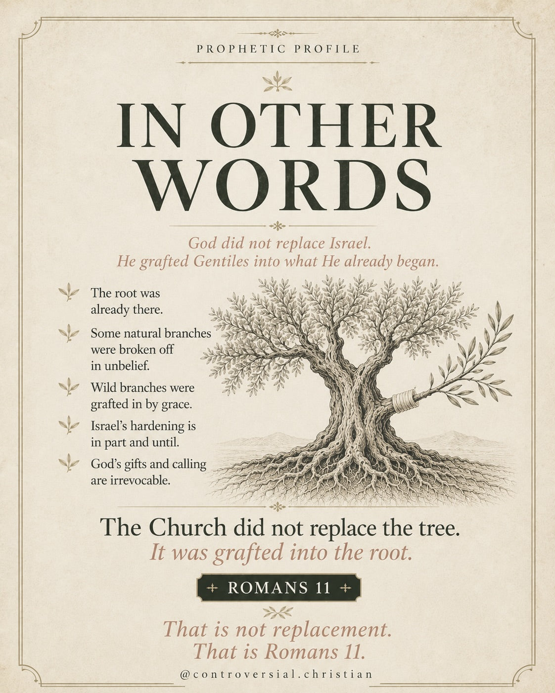 PROPHETIC PROFILE | The Olive Tree