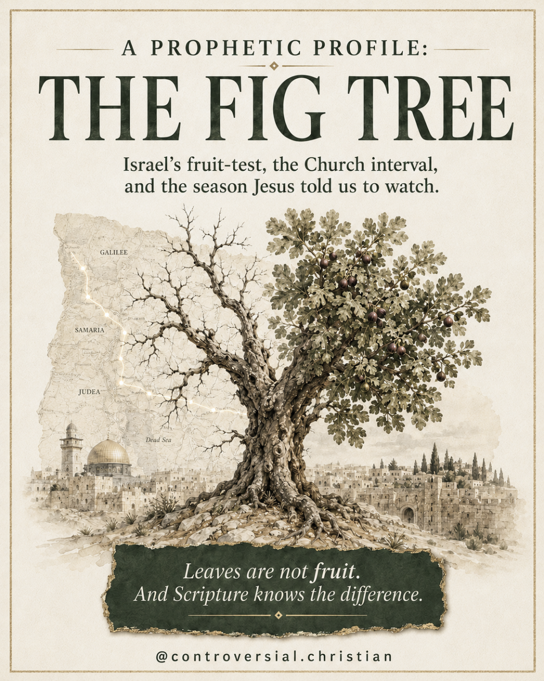 PROPHETIC PROFILE | The Fig Tree