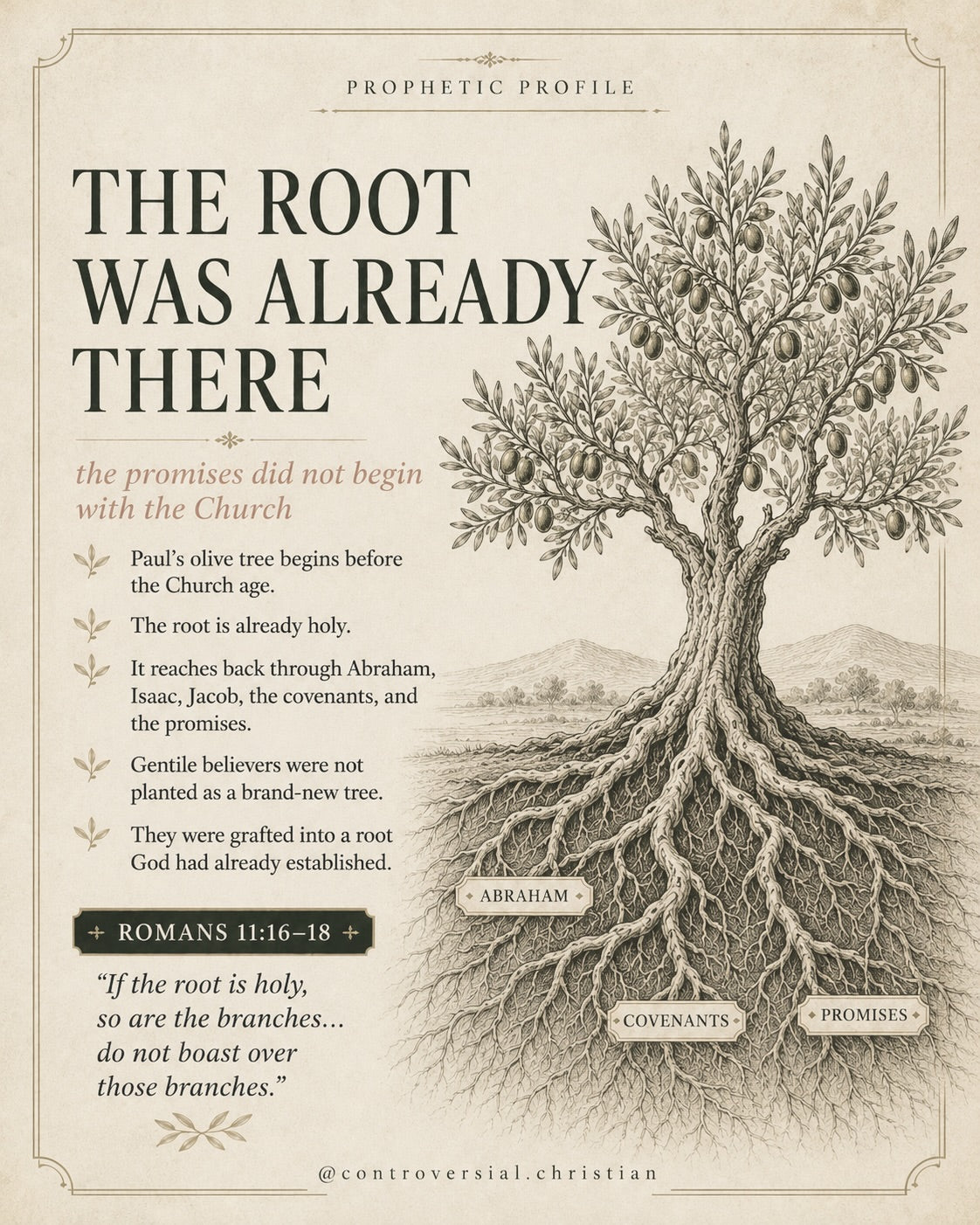 PROPHETIC PROFILE | The Olive Tree
