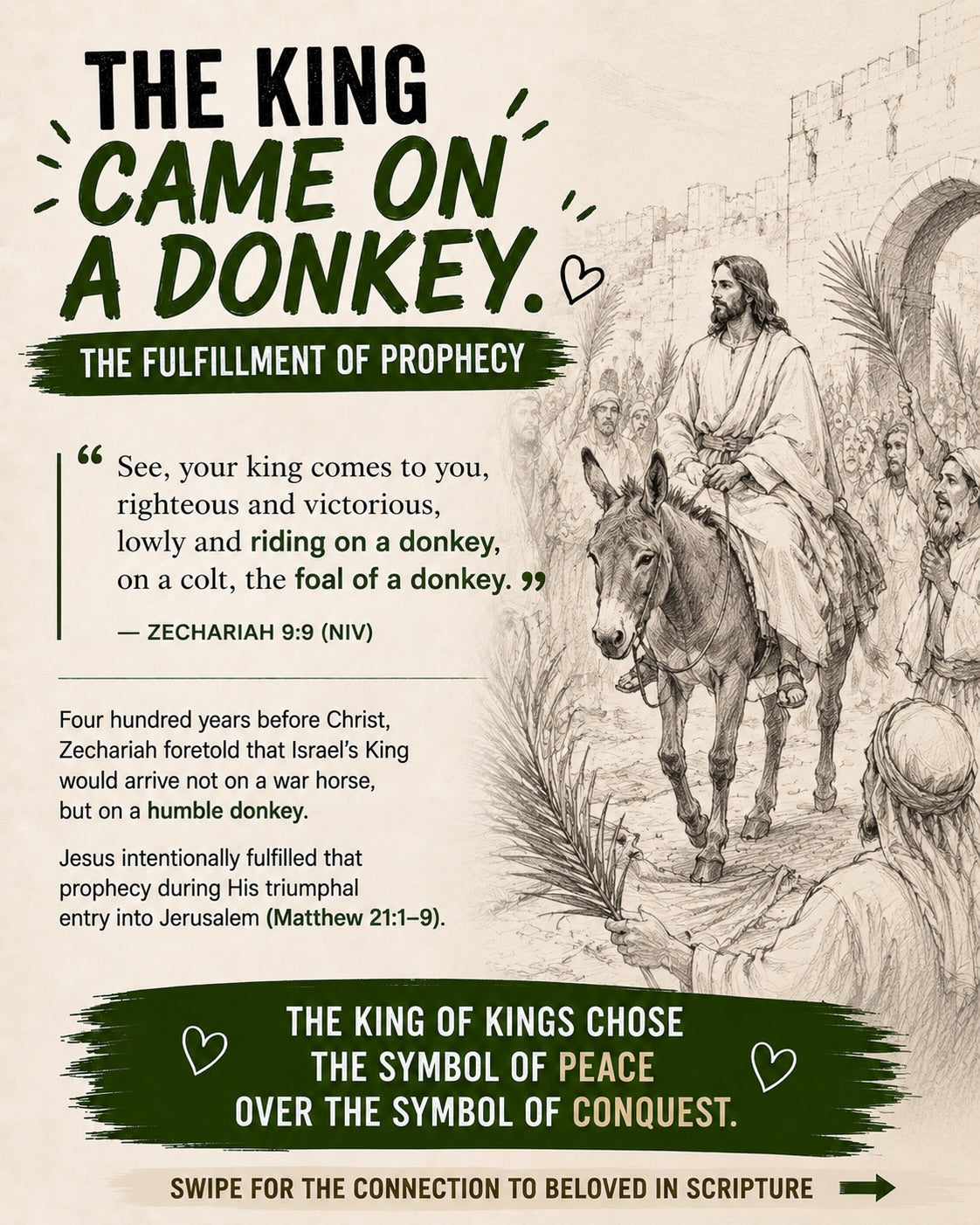 DID YOU KNOW? | Donkey's Cross Facts