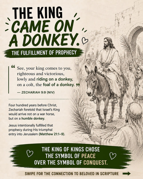 DID YOU KNOW? | Donkey's Cross Facts