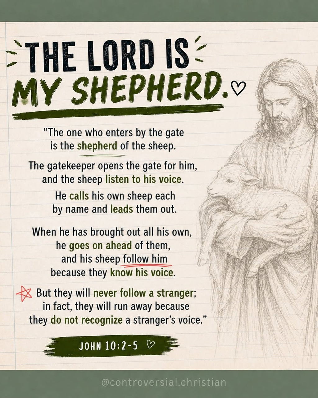 DID YOU KNOW? | Lambs + their Shepherd Facts