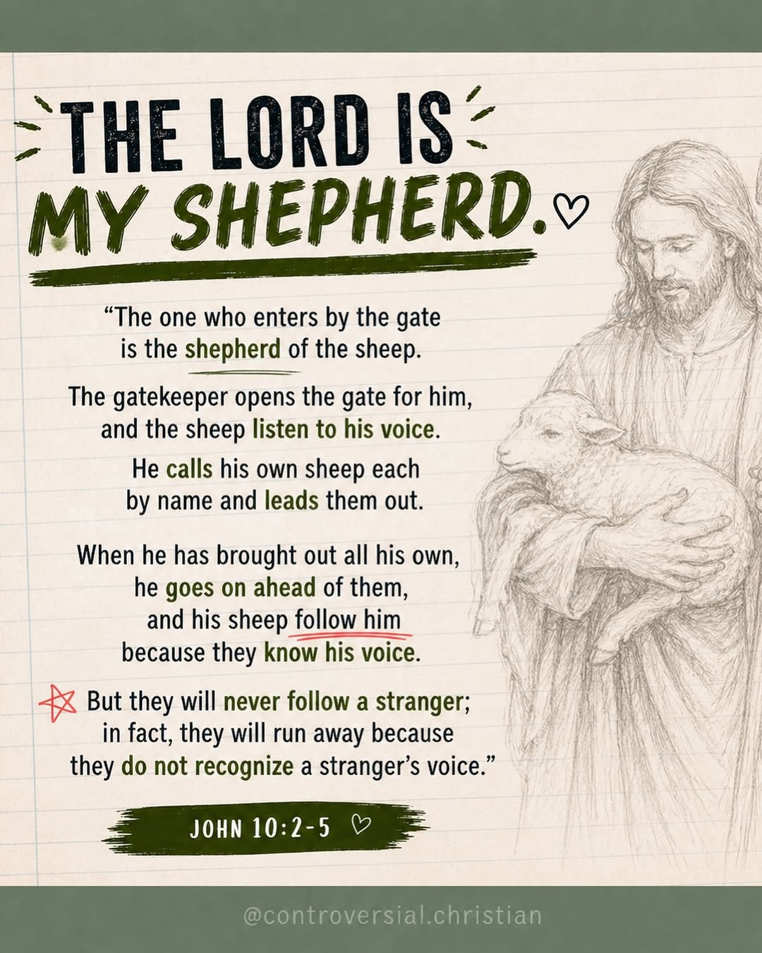 DID YOU KNOW? | Lambs + their Shepherd Facts