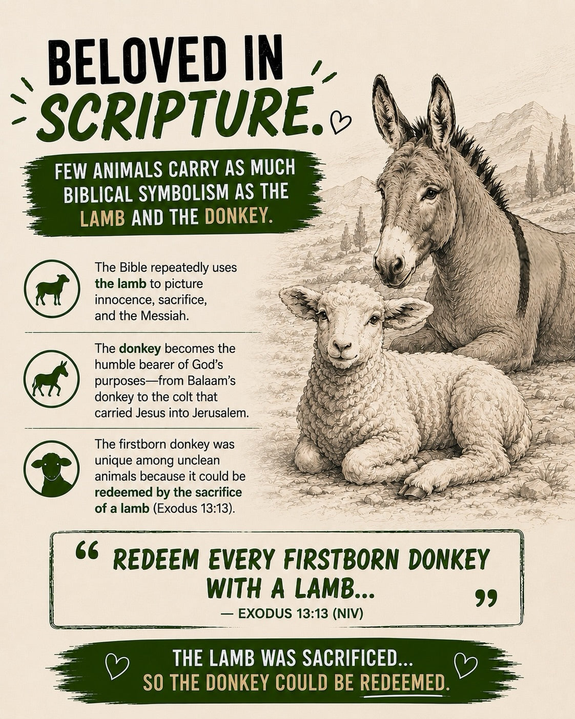 DID YOU KNOW? | Donkey's Cross Facts