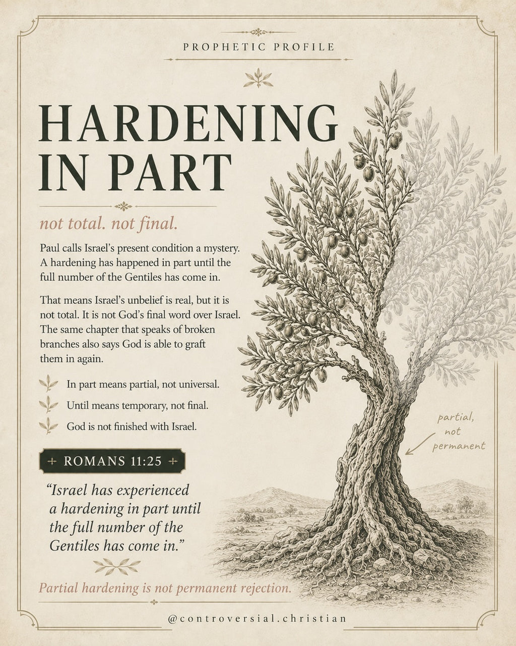 PROPHETIC PROFILE | The Olive Tree