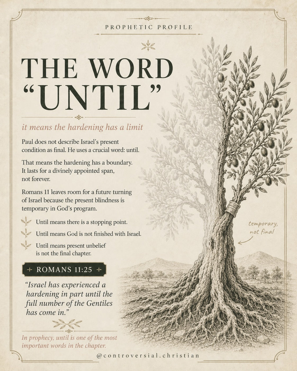 PROPHETIC PROFILE | The Olive Tree