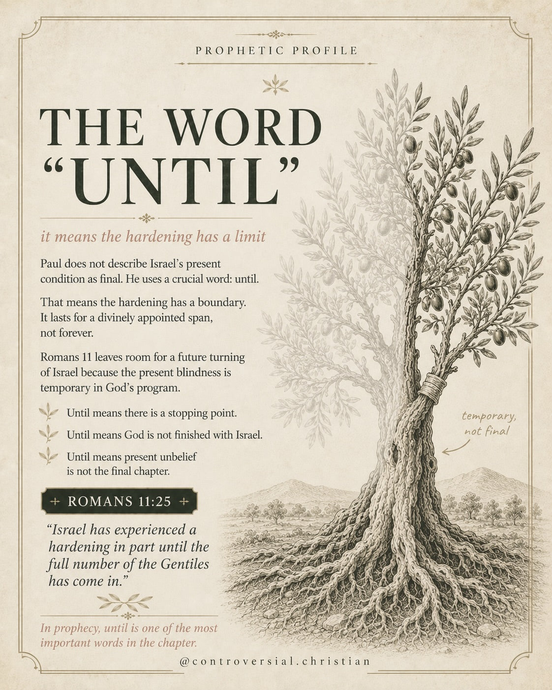 PROPHETIC PROFILE | The Olive Tree