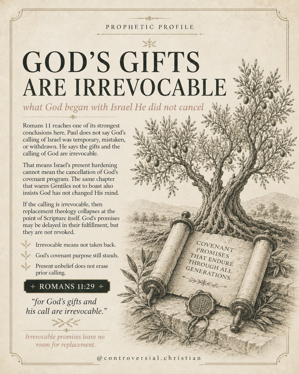 PROPHETIC PROFILE | The Olive Tree