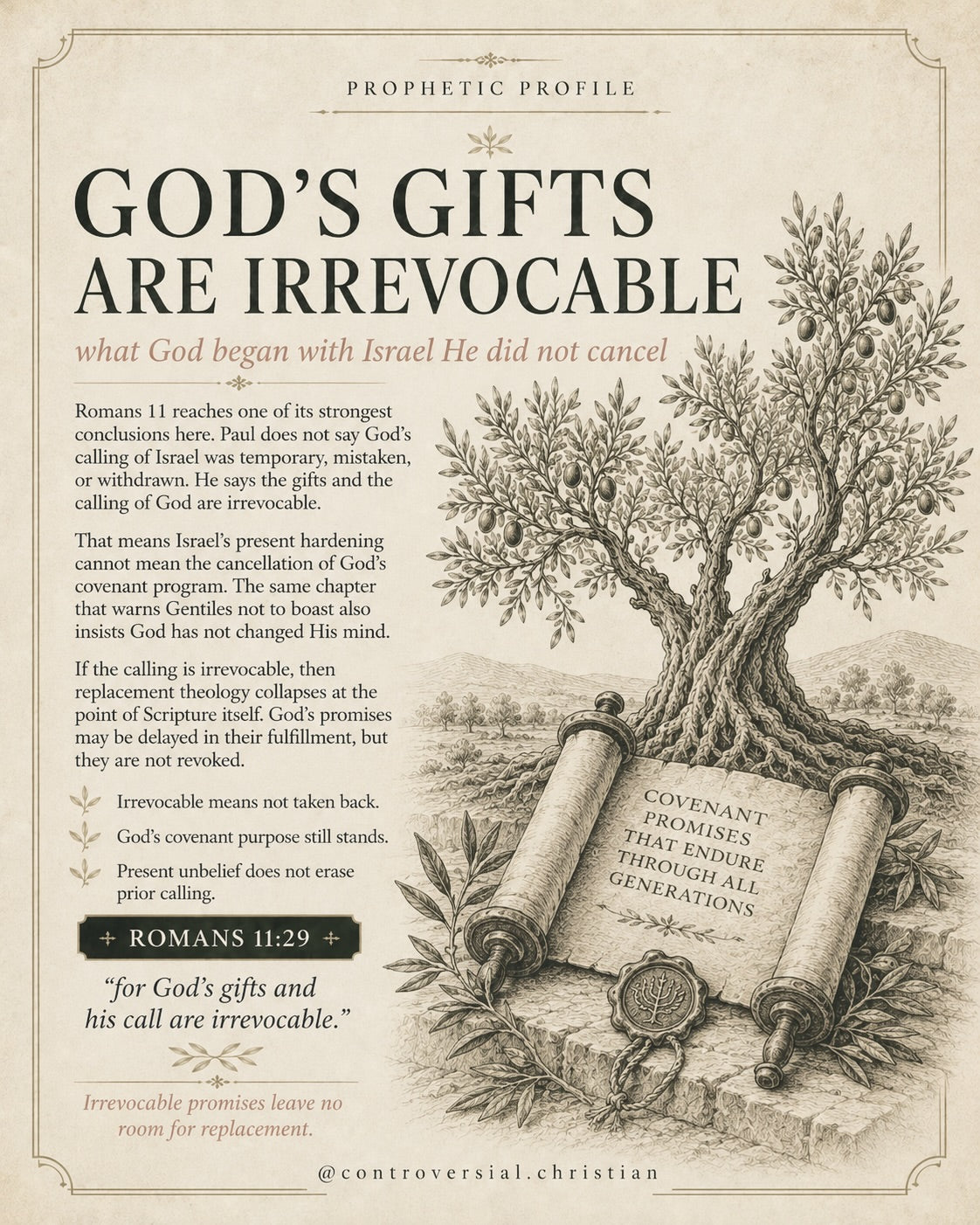 PROPHETIC PROFILE | The Olive Tree